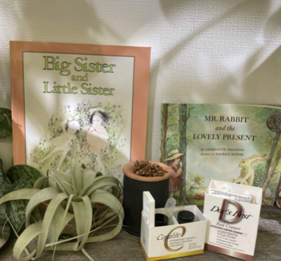 ドッグベストセメント まやホリスティックデンタル 木場 東京都 自然派