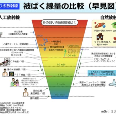 まやホリスティックデンタル　東京　ホメオパシー　自然派　木場　江東区