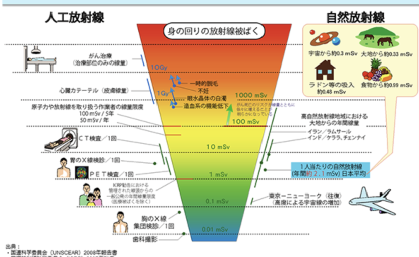 まやホリスティックデンタル 東京 ホメオパシー 自然派 木場 江東区